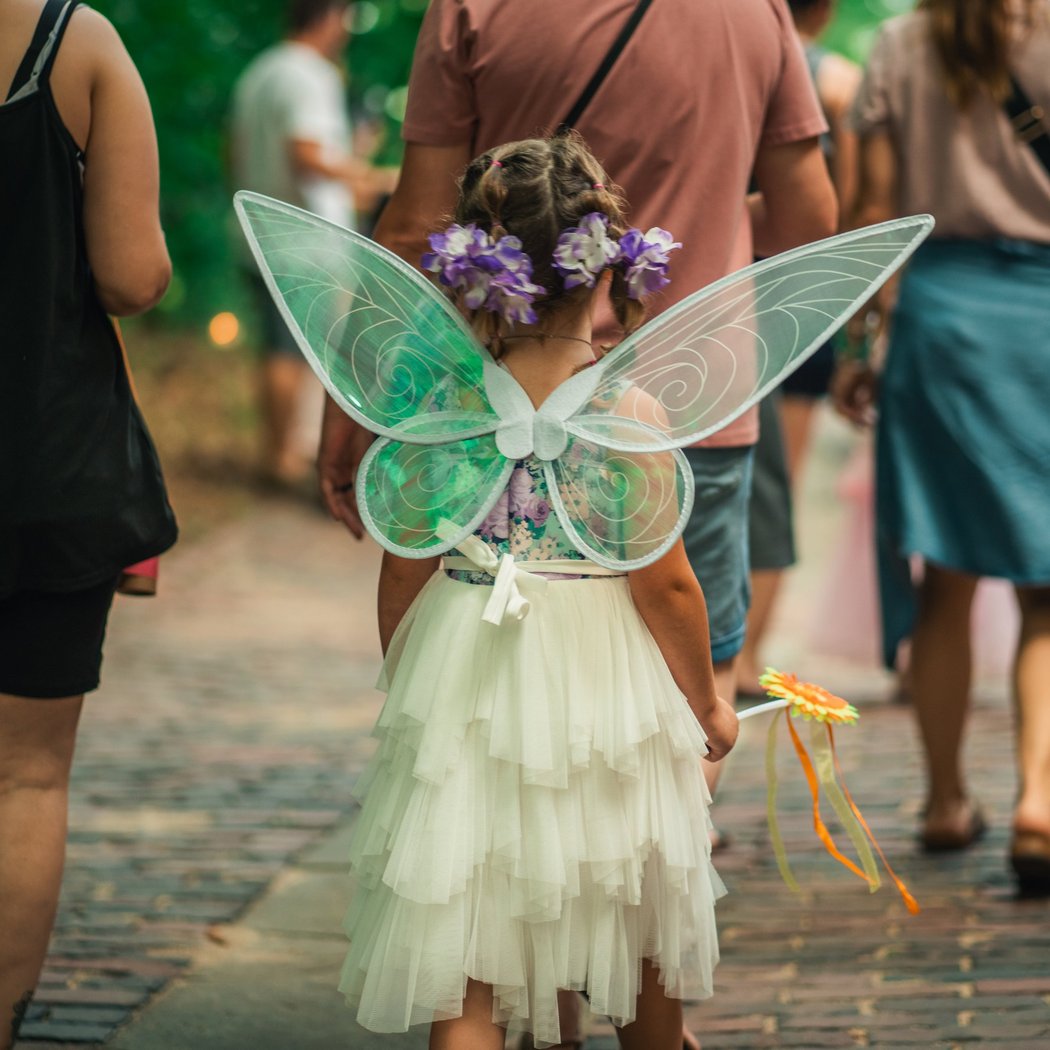 Faeries, Sprites, and Lights 2
