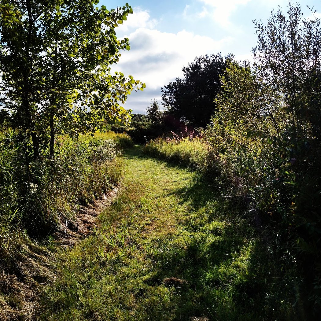 Flushing Township Nature Park 3