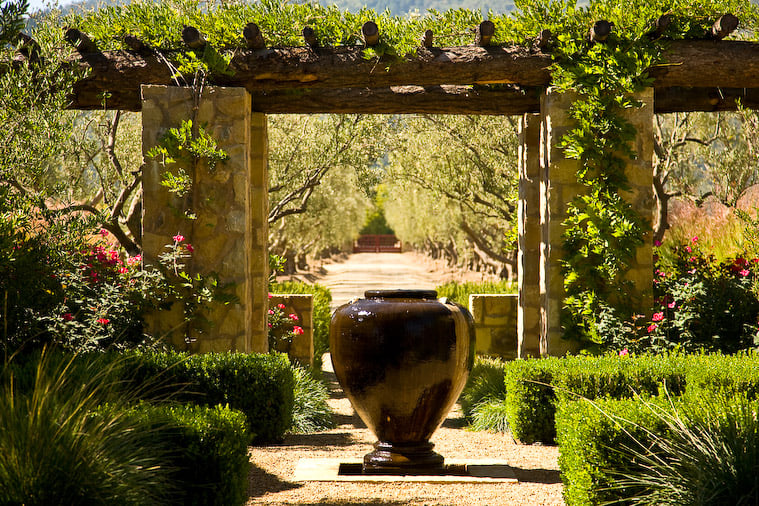 Harvest Wine Tours 1