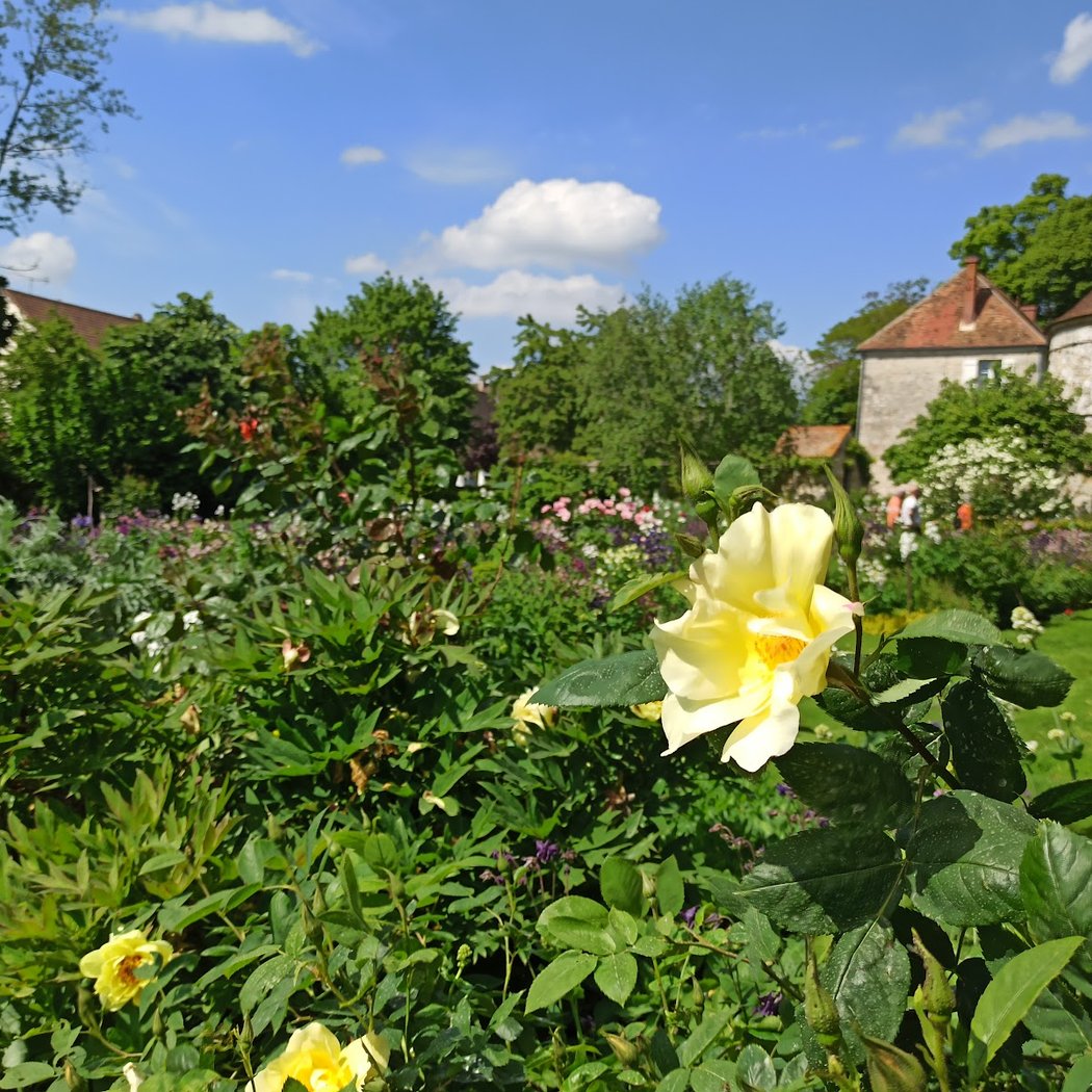 Country Gardens 3