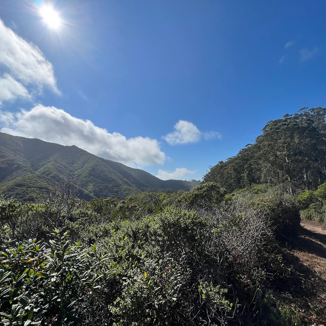 San Pedro Valley Park Visitor Center 2