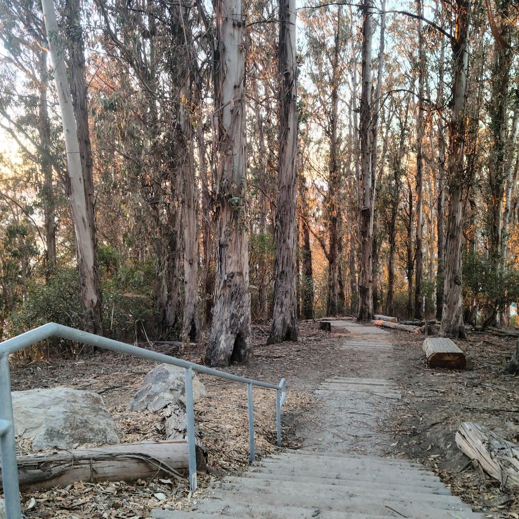 Albany Hill Park 1