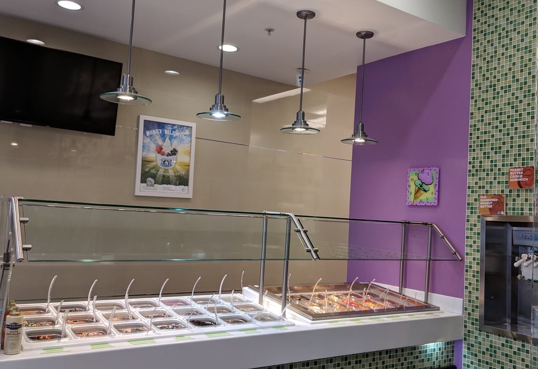 Yes! Yogurt and Frozen Treats 2