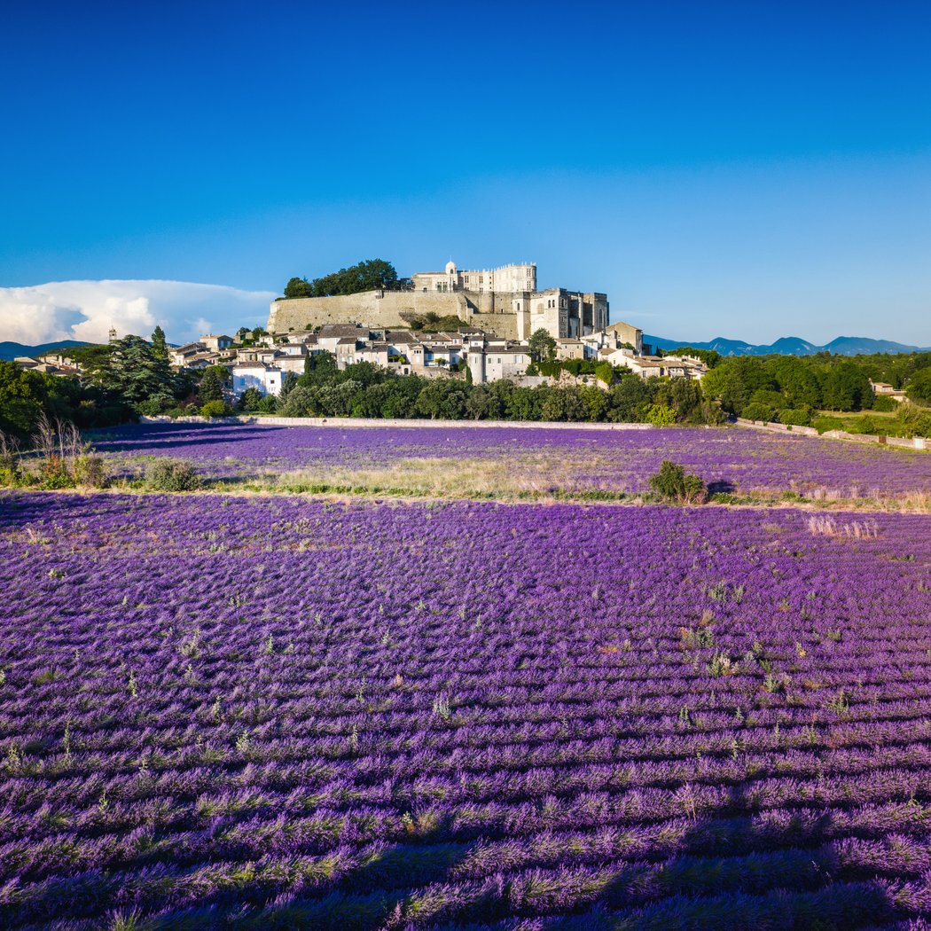Château de Grignan 1