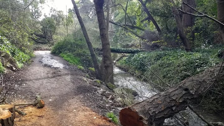 El Centro Trailhead (Dimond Canyon) 2