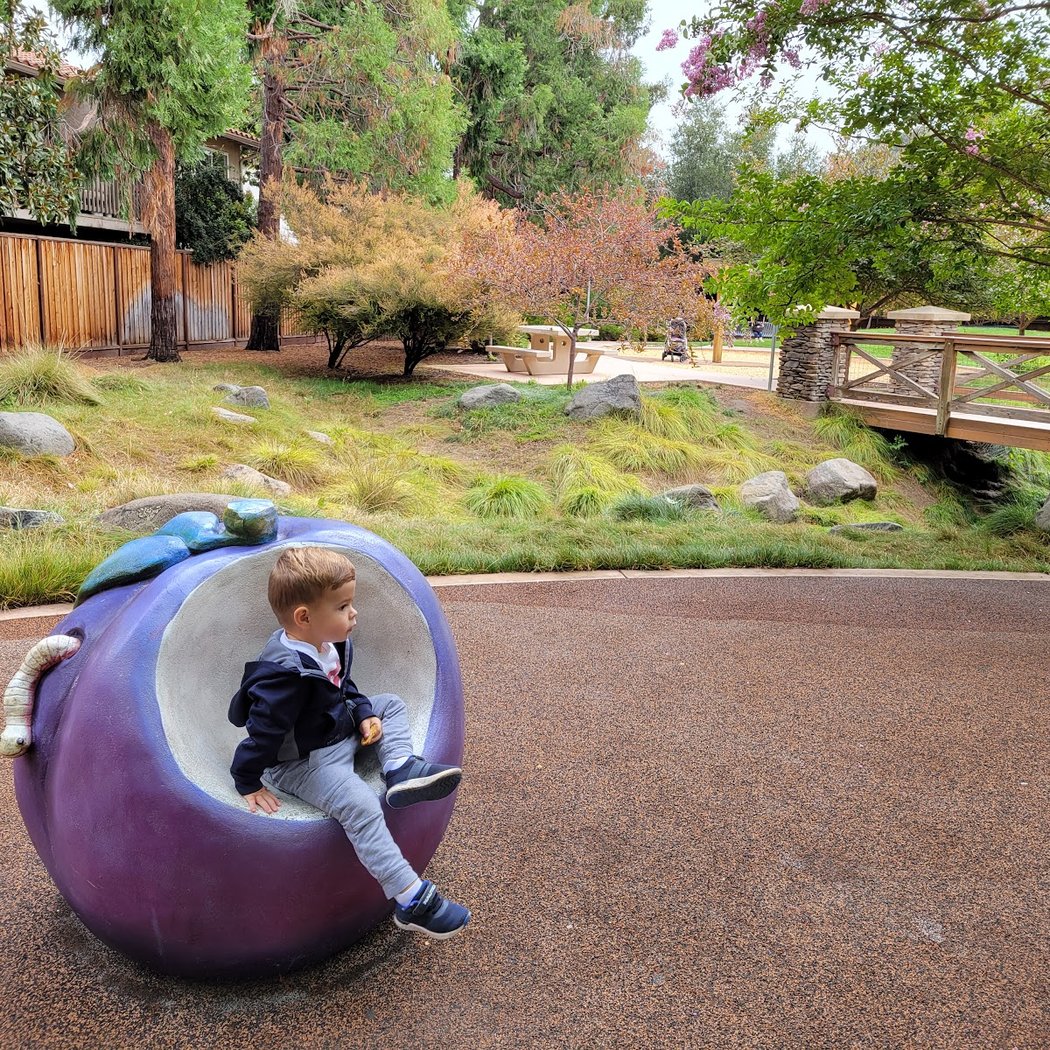 Stojanovich Family Park 1