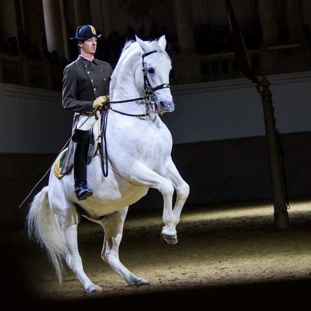Spanish Riding School