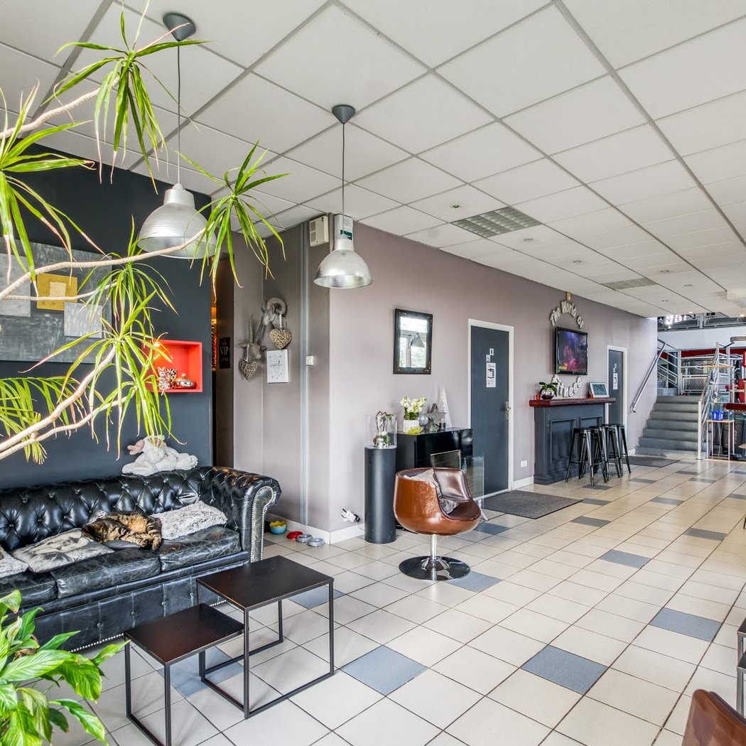 Dynamic Gym Club / David Fitness 3