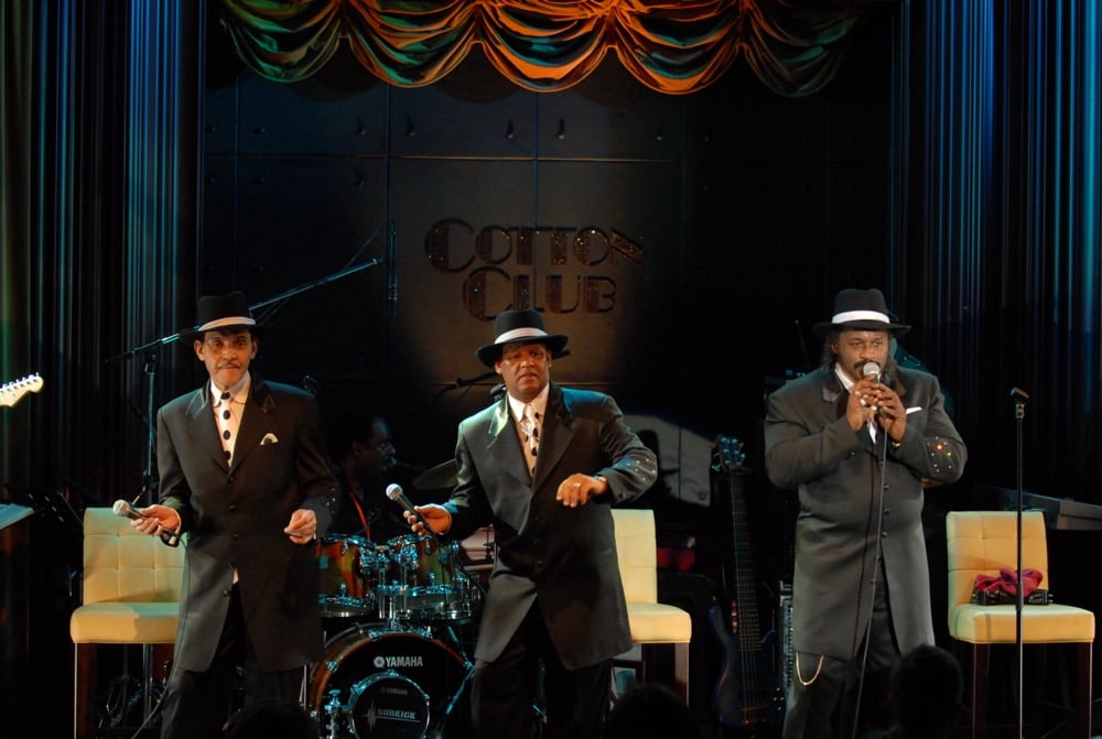 Cotton Club 3