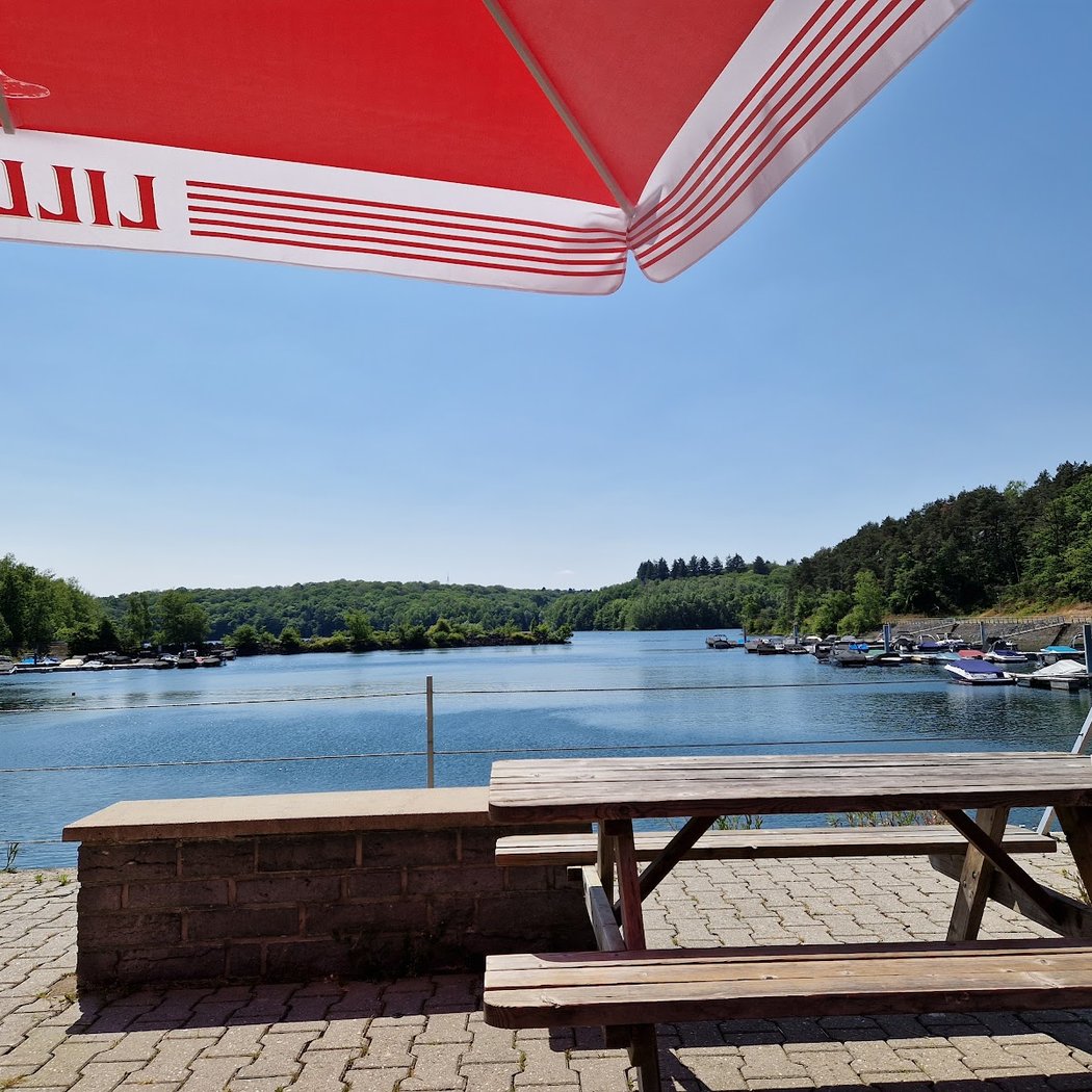 Flyboard Lacs de l'Eau d'Heure - Seasky 4