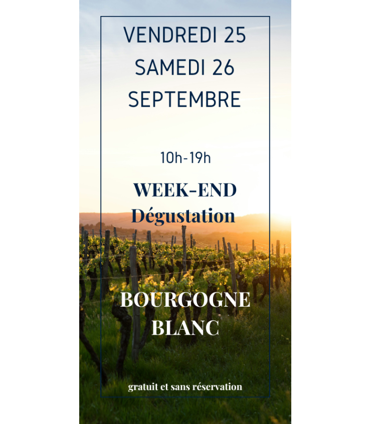 Week-end Dégustation: Bourgogne Blanc