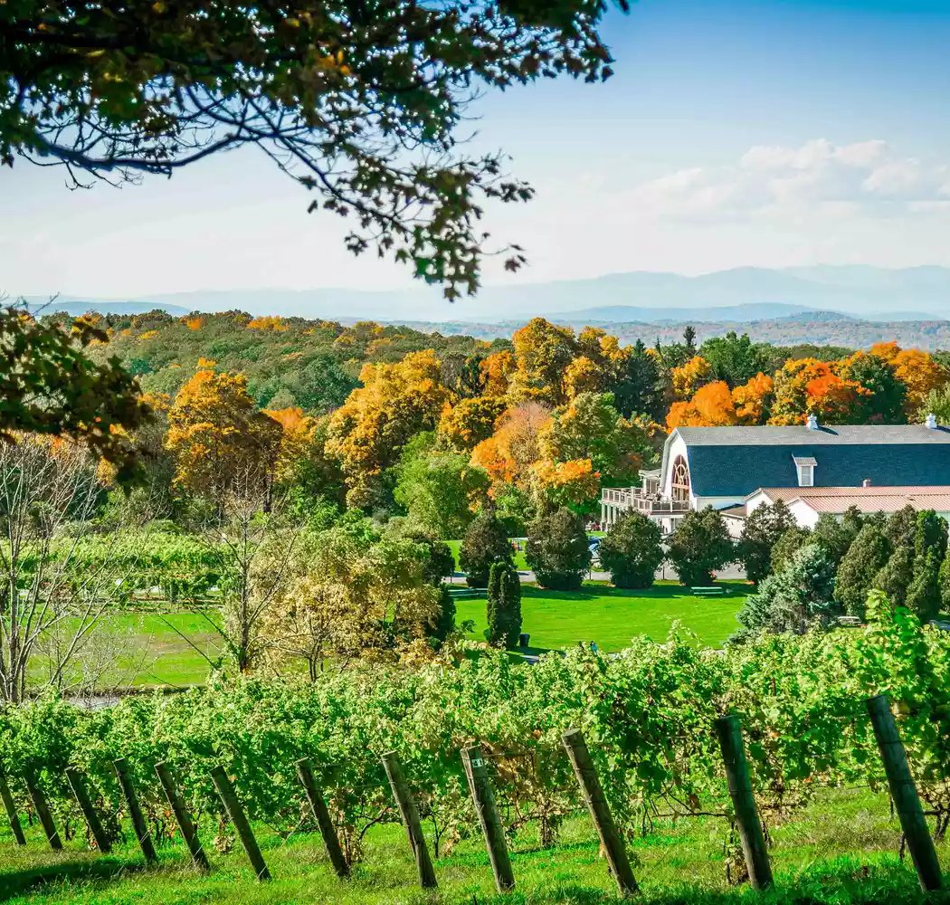Millbrook Vineyards & Winery 4