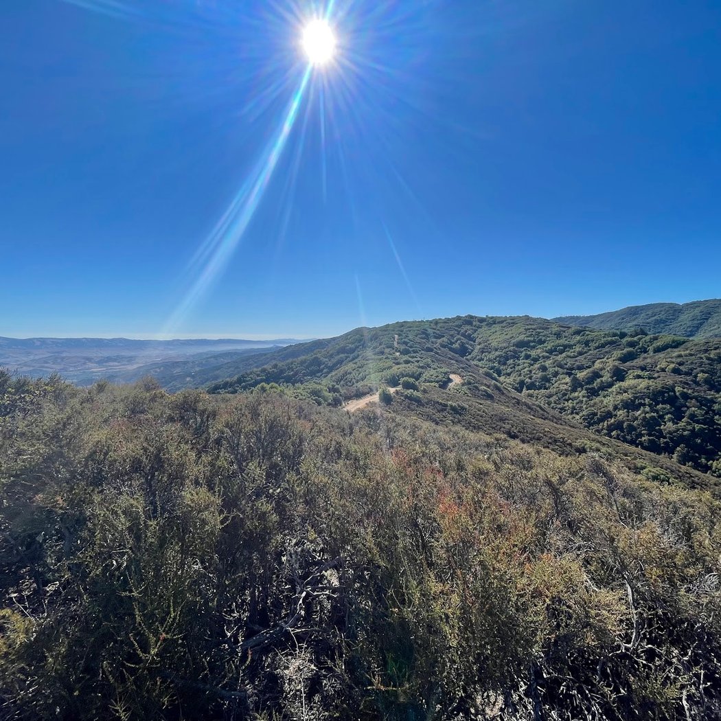 Limekiln Trail, Los Gatos CA 2