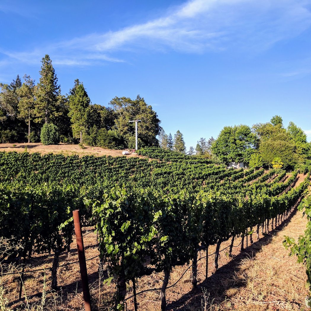 Howell Mountain Vineyards 2
