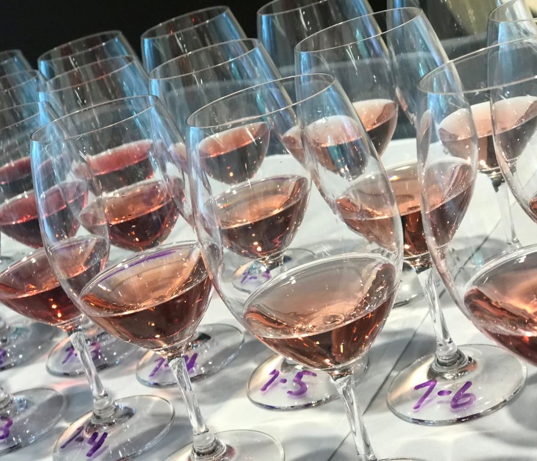 Illinois Wine Experience 3