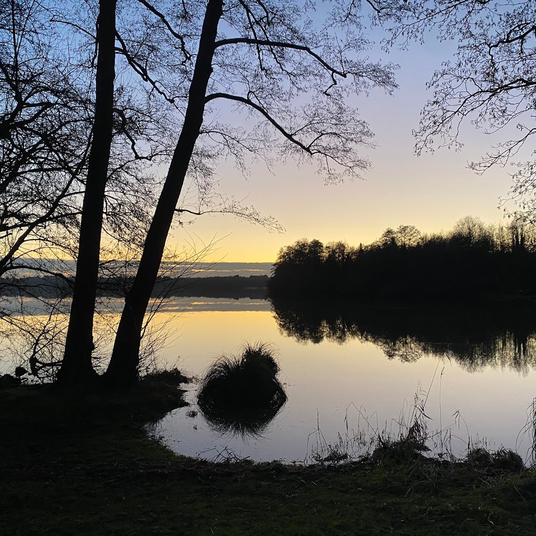 Île de Mazerolles 1