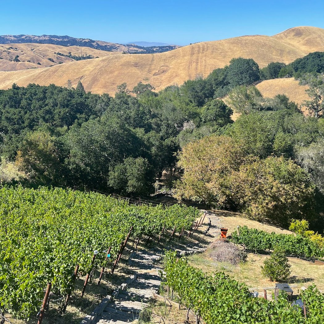 CAPTAIN VINEYARDS 3