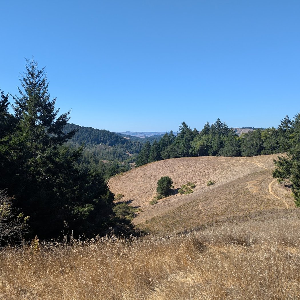 Gary Giacomini Open Space Preserve 2