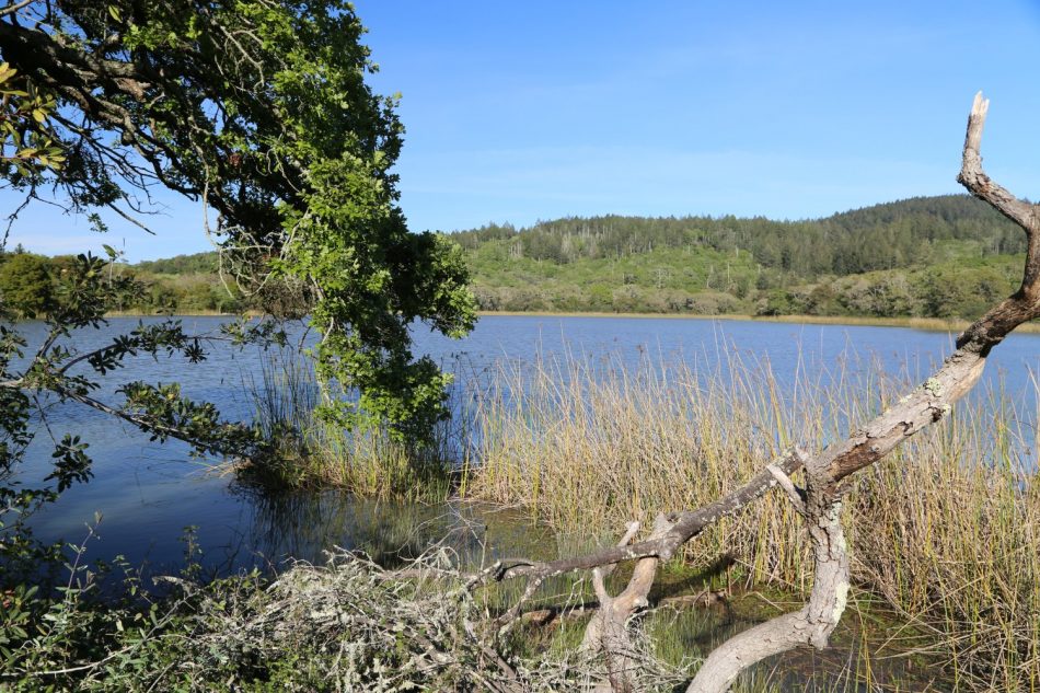 Lake Ilsanjo 3