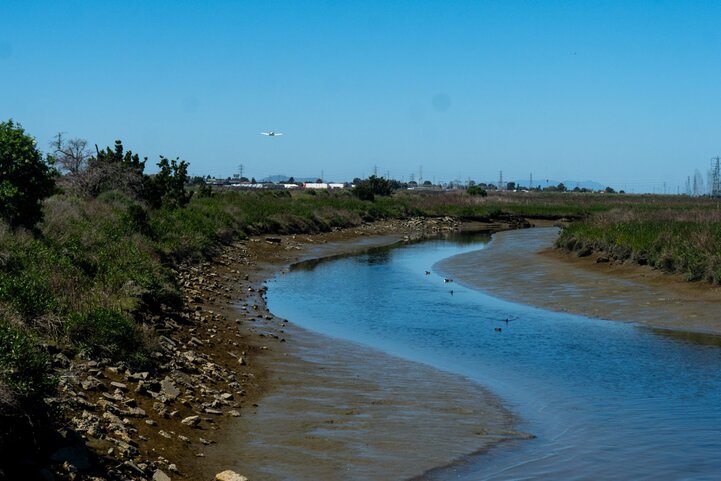 Bay Trail 2