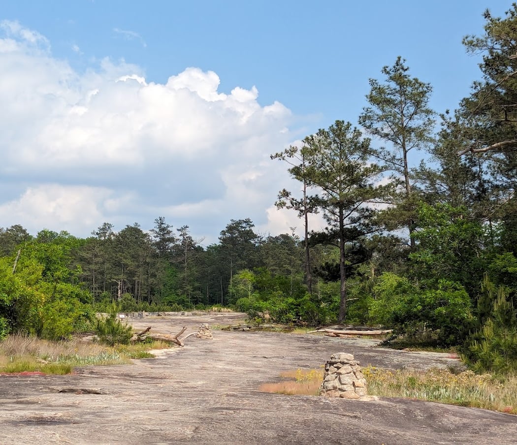 Davidson-Arabia Mountain Nature Preserve 3