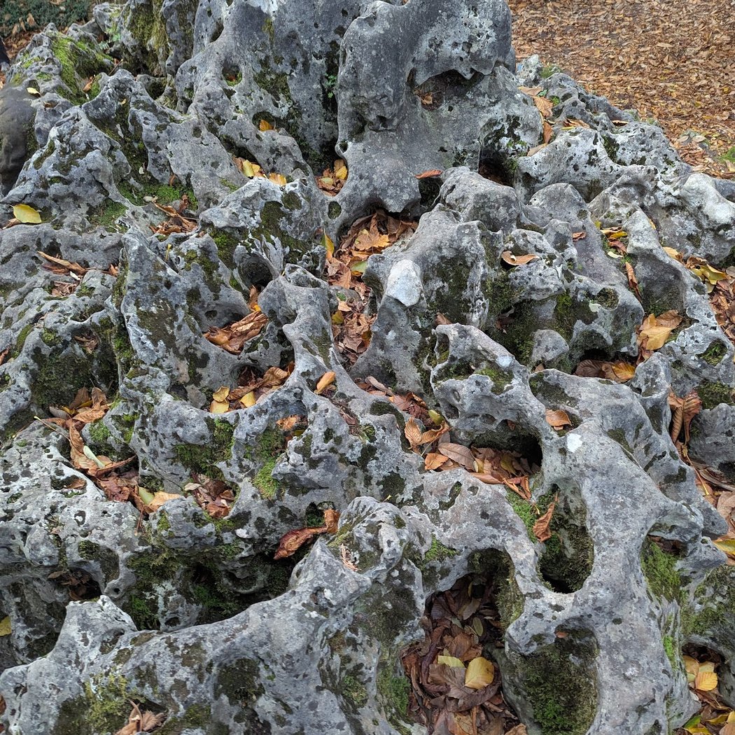 La roche éponge 1