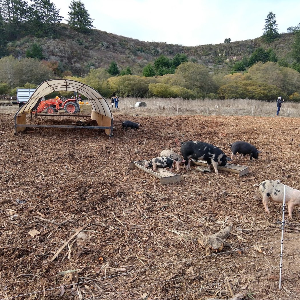 Root Down Farm 3