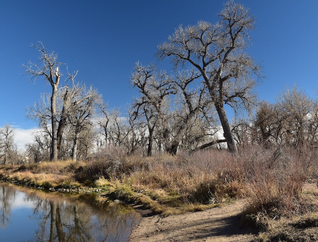 South Platte Park and Carson Nature Center 4