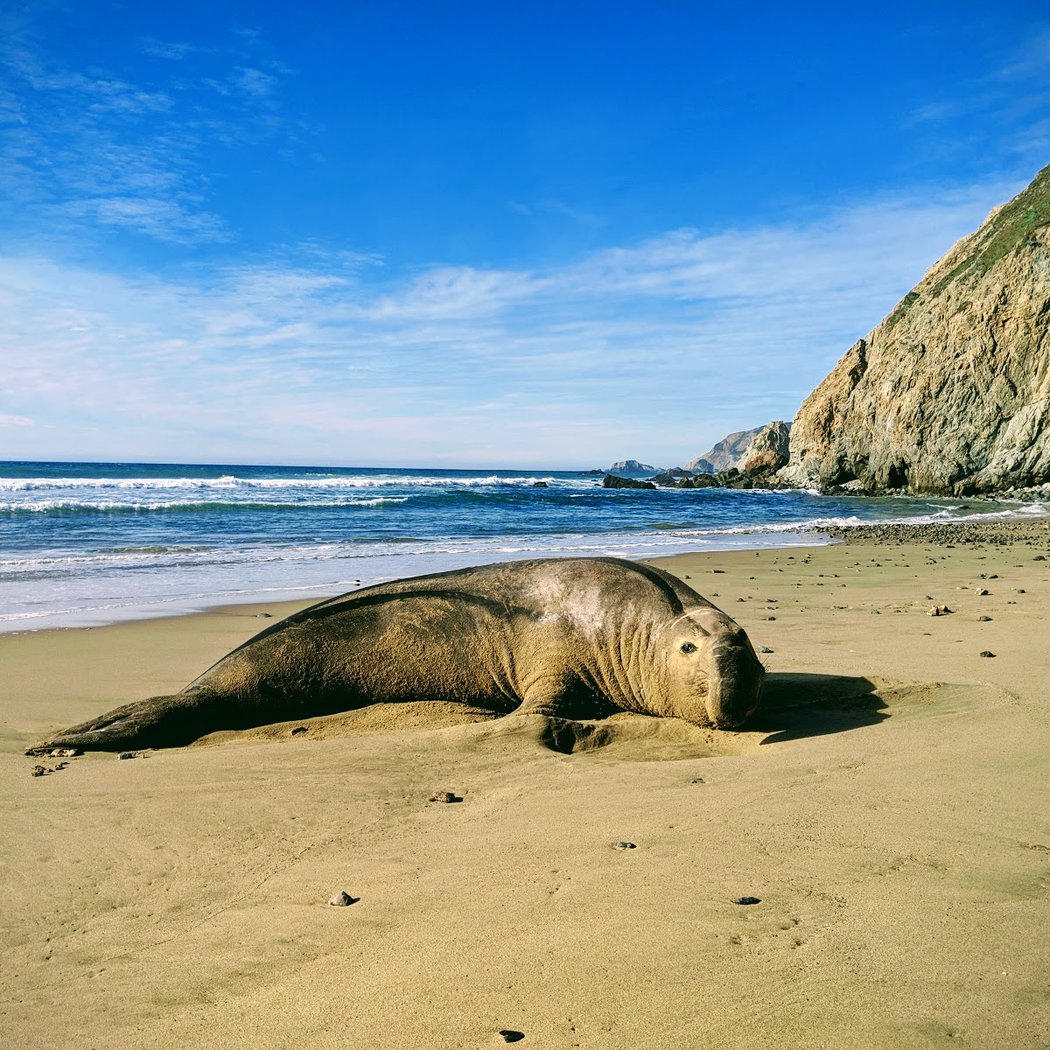 Kehoe Beach 1
