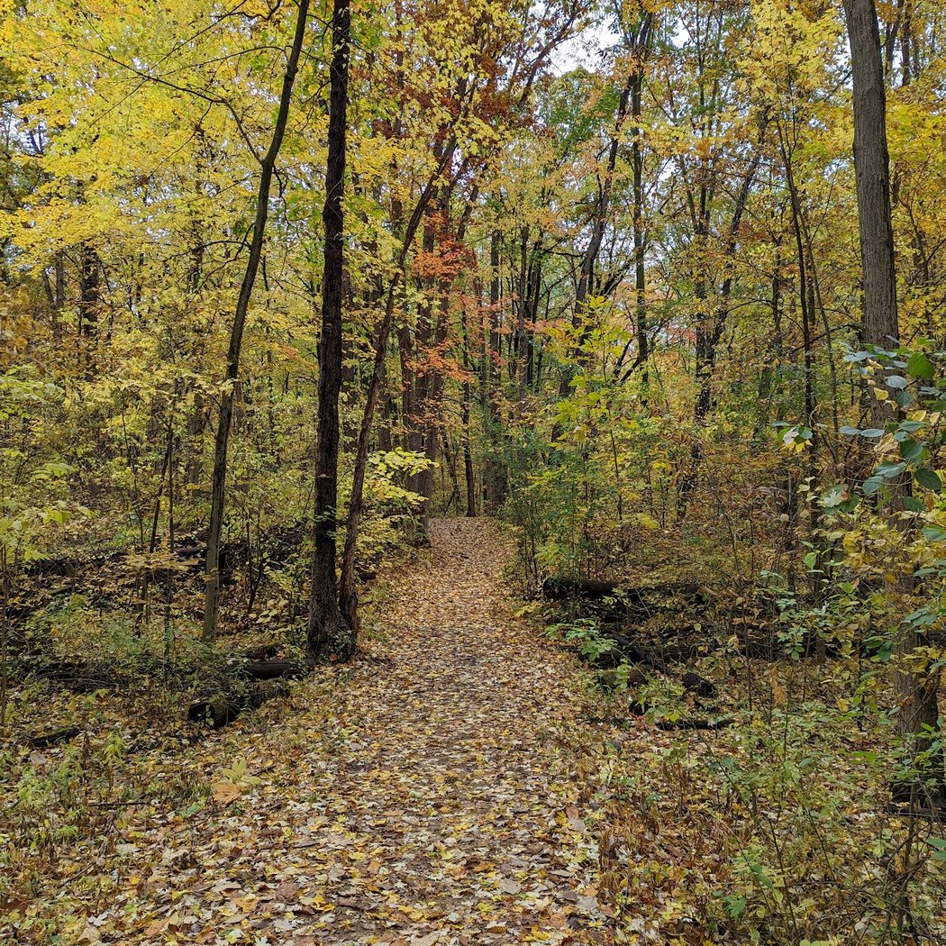 Bald Mountain State Recreation Area 1