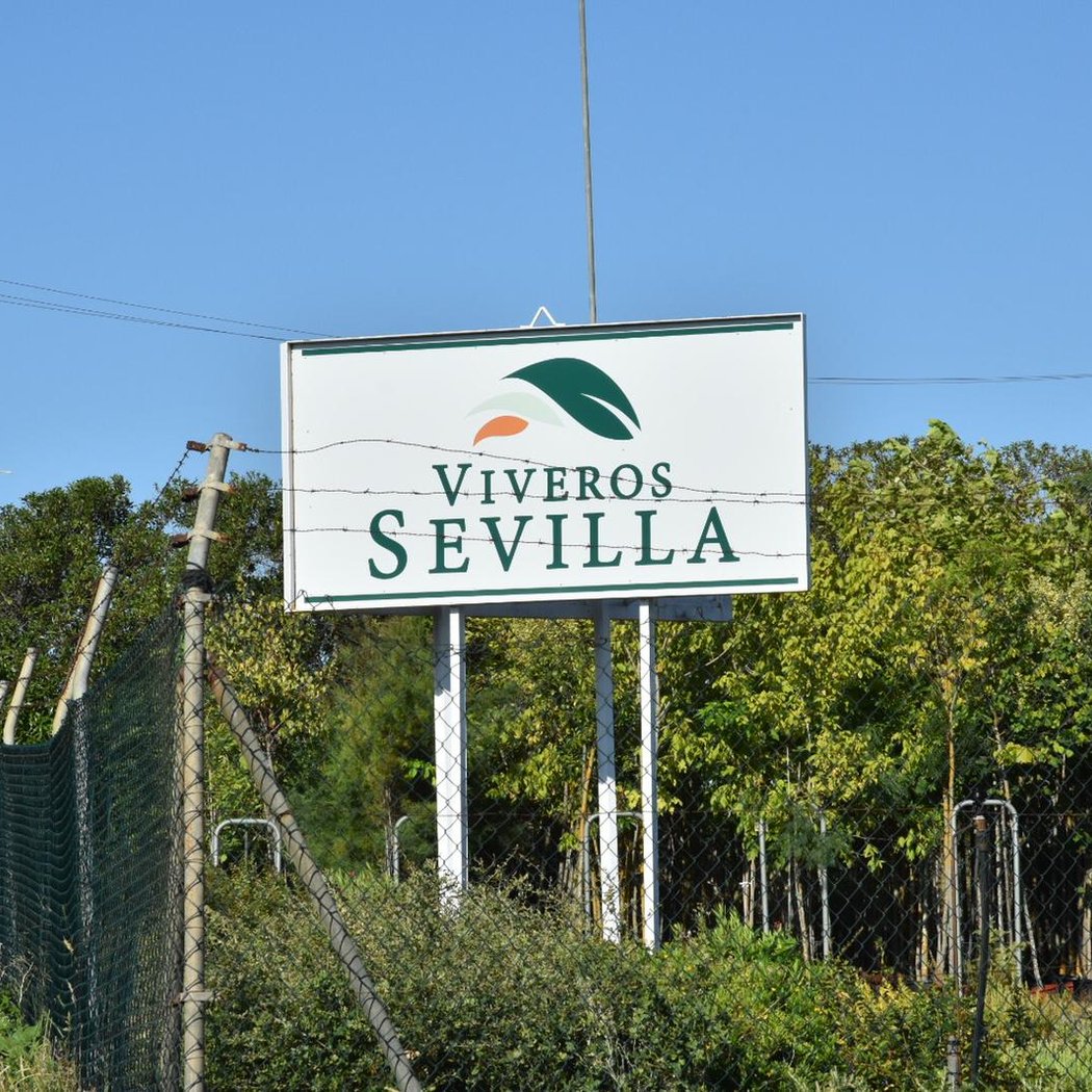 Viveros Sevilla S.A. 3