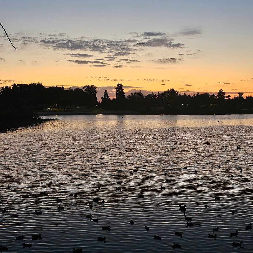 Almaden Lake Amphitheater 2