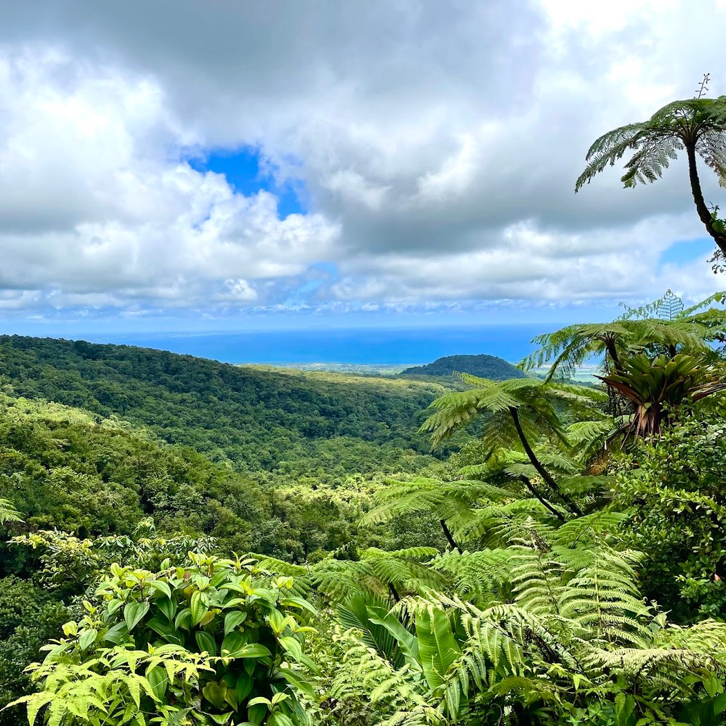 Guadeloupe National Park 1