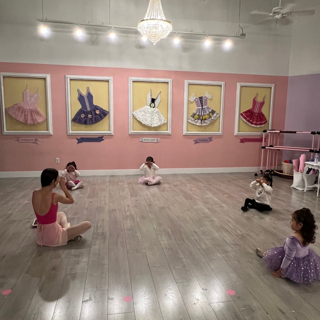 Free Ballet Class (Tutu Trial) 2