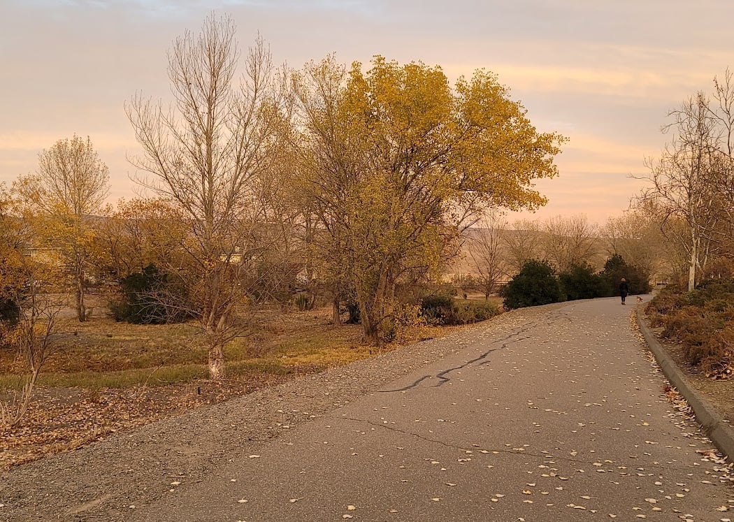 Altamont Creek Park and Field 1