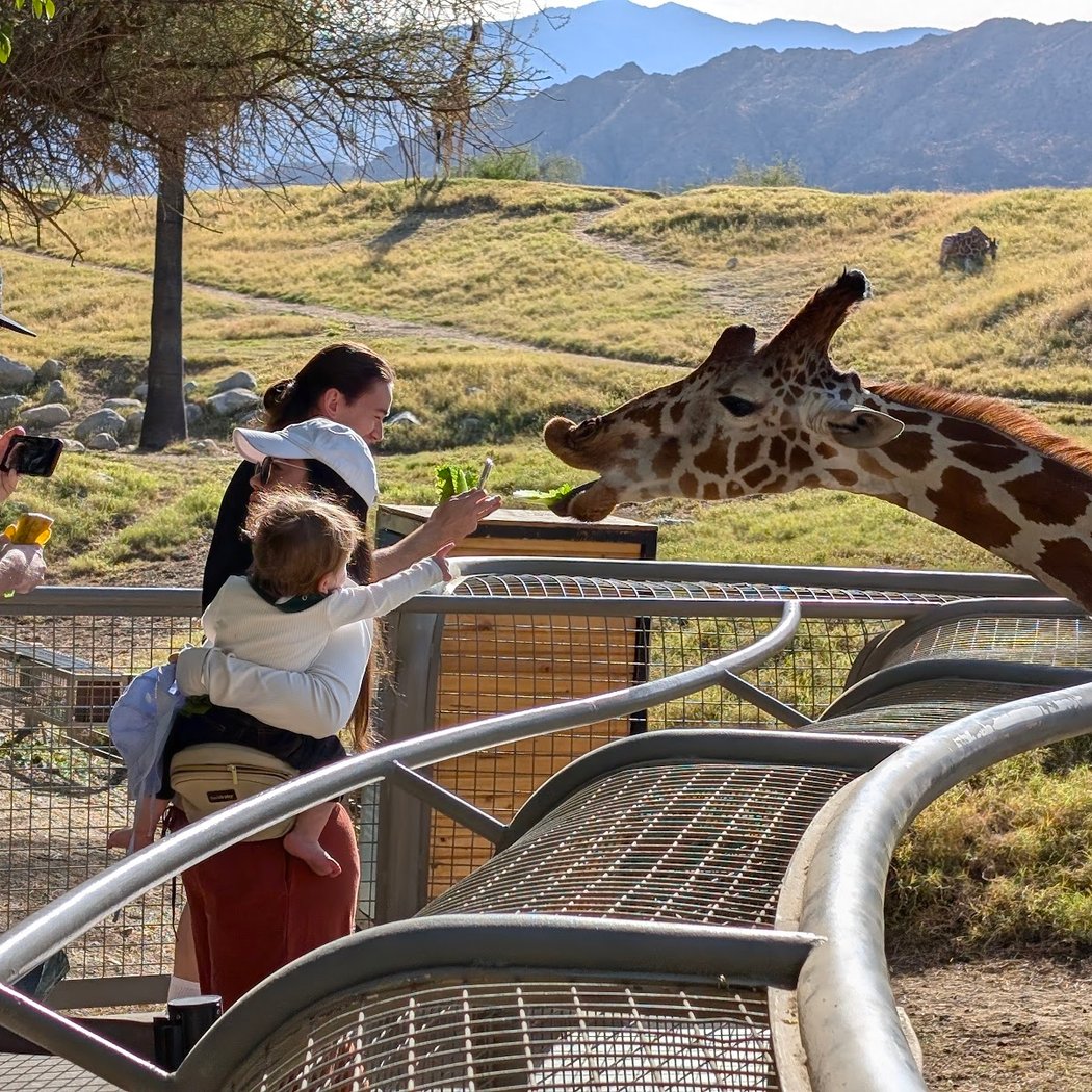 The Living Desert Zoo and Gardens 2