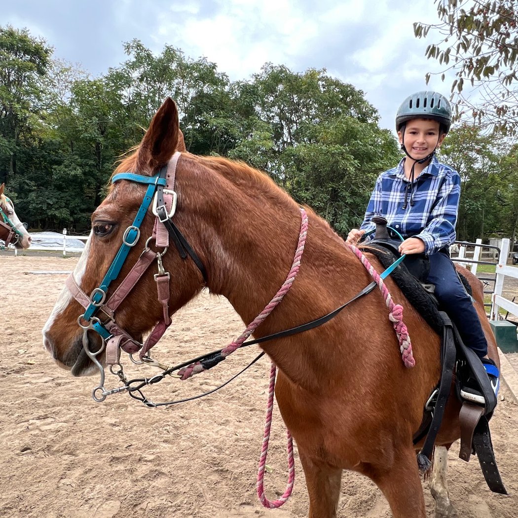 G&G Stables 2