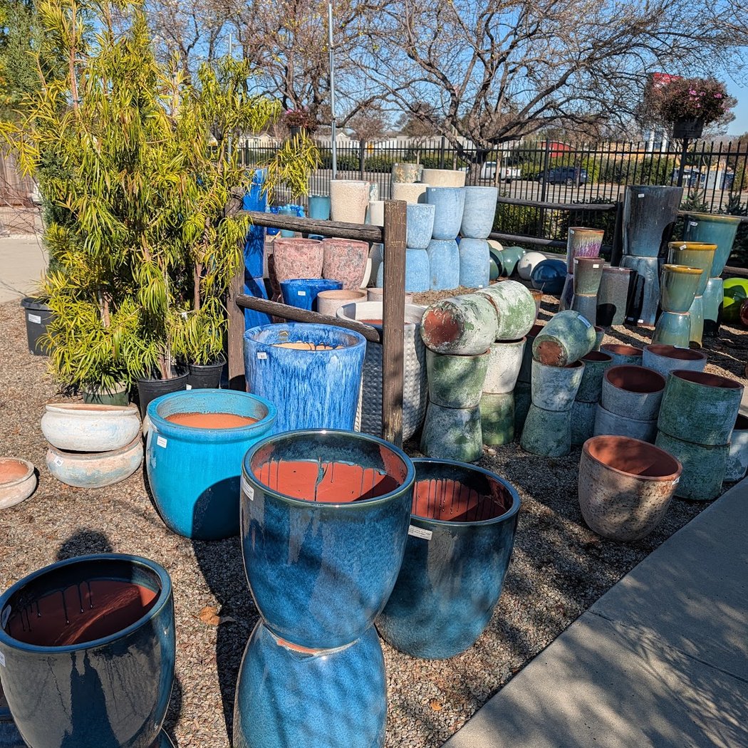 Winter Pruning Workshop 3