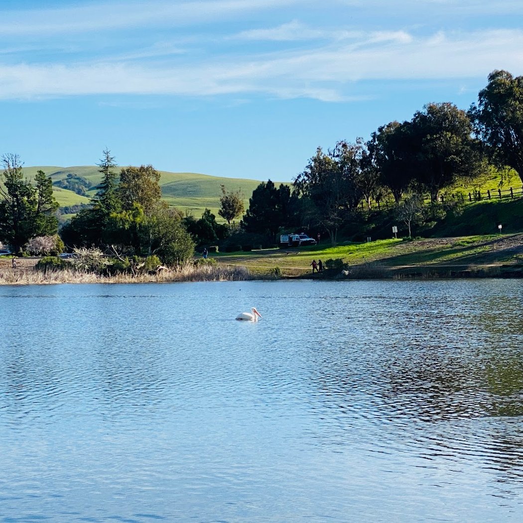 Sandy Wool Lake 3