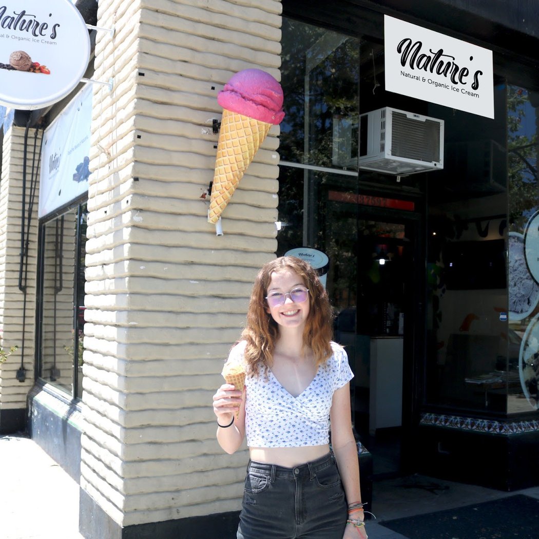 Nature’s Organic Ice Cream 3