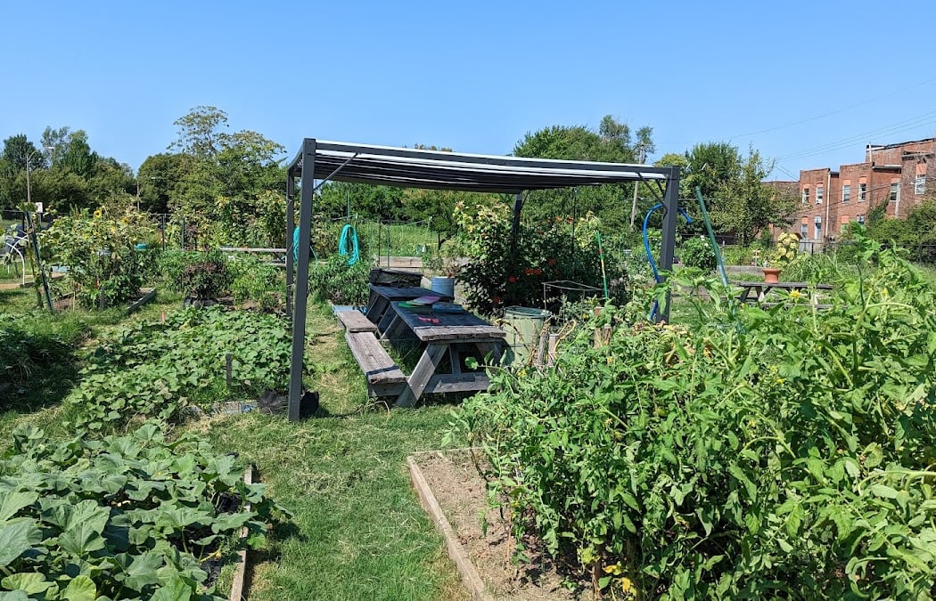 Community Gardening at Fresh Starts 3