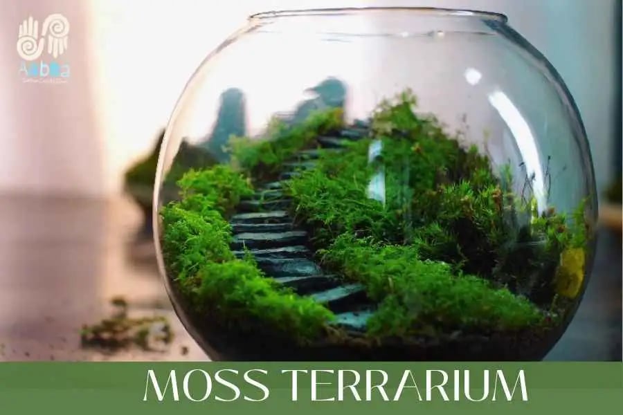 Moss Terrarium Workshop by Aabha 2