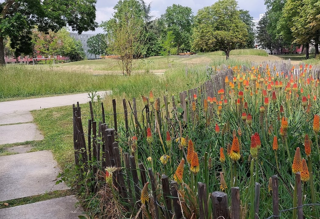 Parc des Courtilières 1