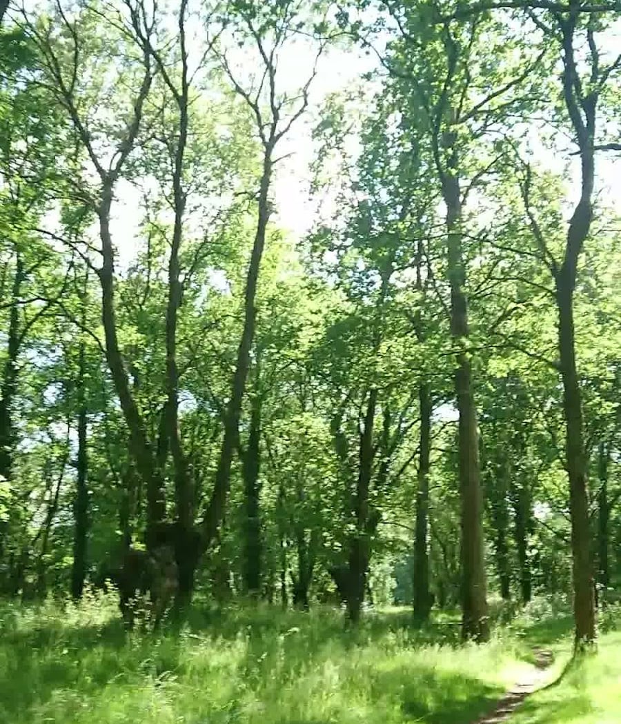 île Clémentine 3