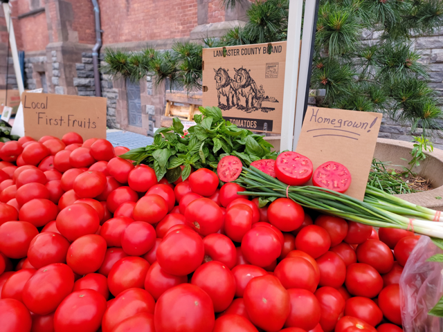Roosevelt Island Saturday Farmers Market