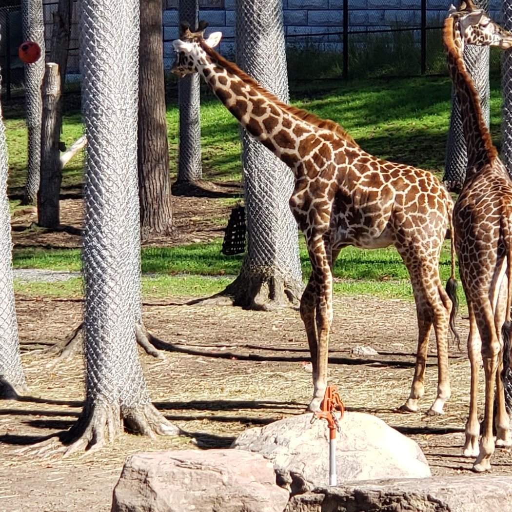 Seneca Park Zoo 2