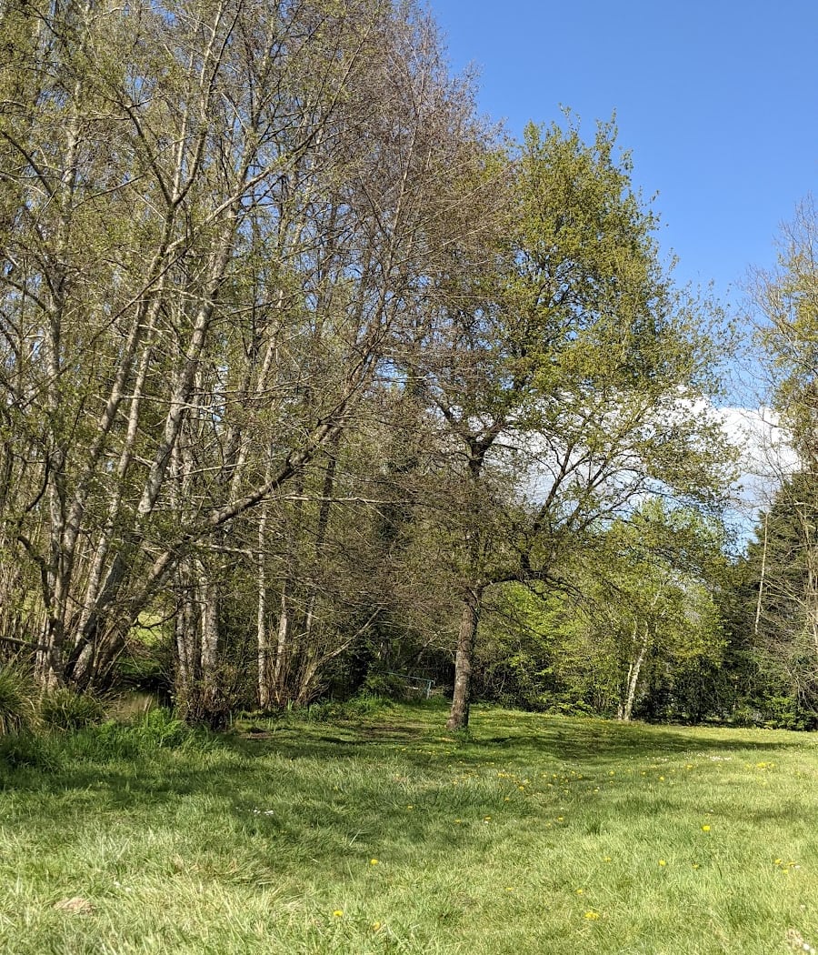 Étang Des Platanes 3
