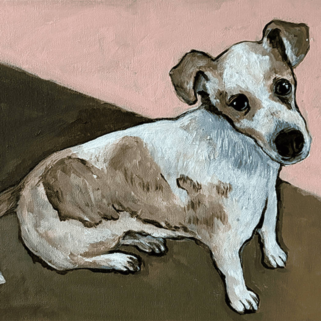 Paint Your Pet! 1