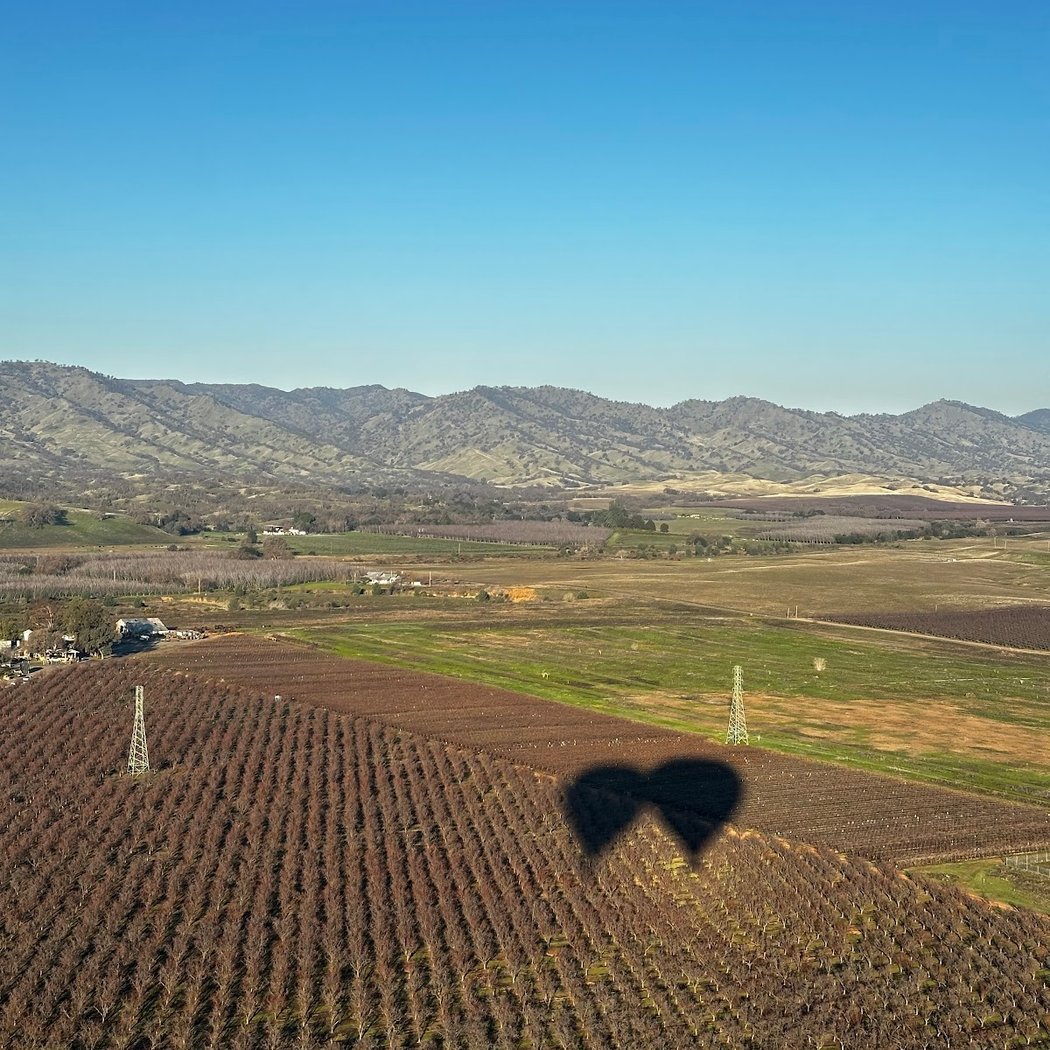 Balloons Above the Valley 3