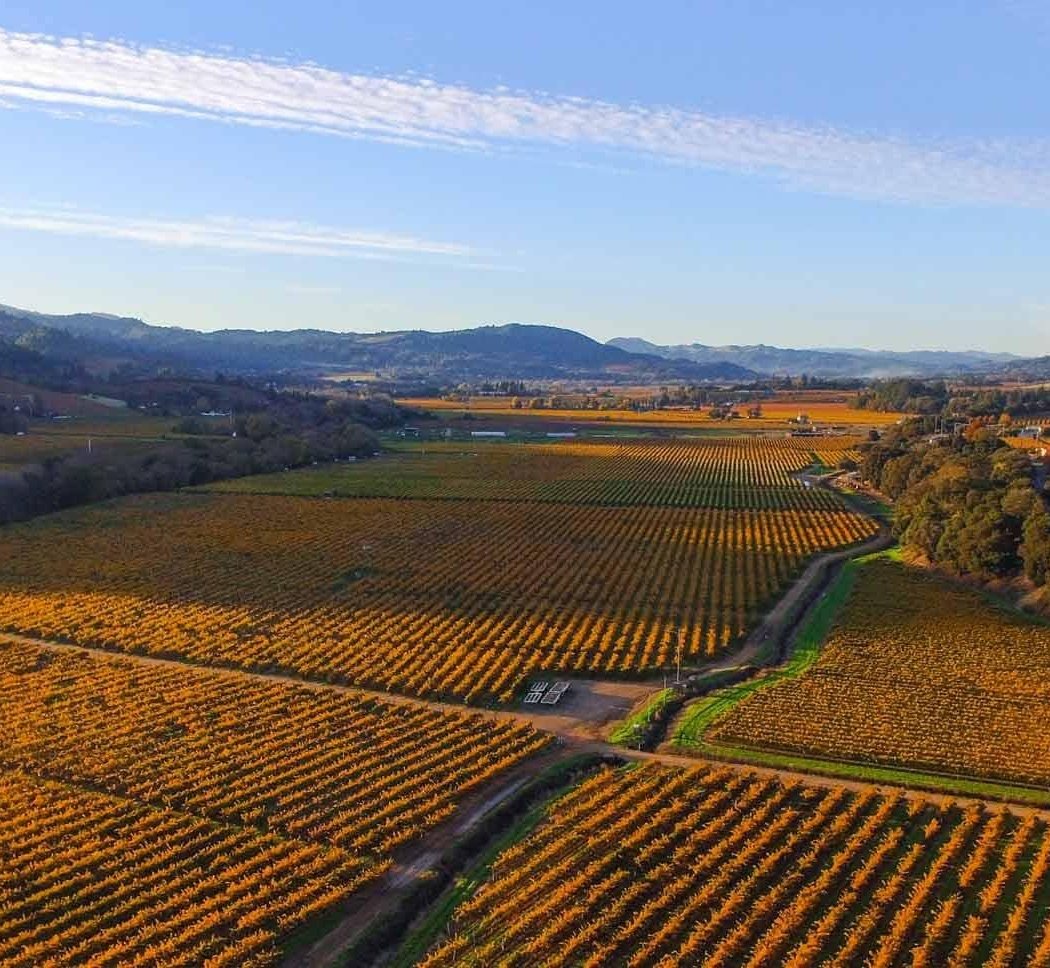 Sheraton Sonoma Wine Country Petaluma 1